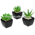 Mini planta suculenta plástica artificial en maceta de la venta de la fábrica para la decoración